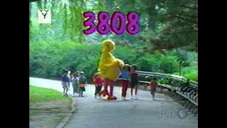 Sesame Street Episode 3808 Full Summer Rerun Version Recreation Remastered [upl. by Atiuqehc243]