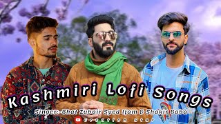 Kashmiri Lofi Songs SlowedReverb Songs Bhat Zubair Syed Ifam  Shakir Baba [upl. by Aehc815]