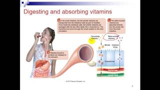 Biochem Second  drEman  water soluble Vitamins B1 B2 B3 B5 الجزء الأول [upl. by Brannon]