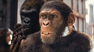 Apes and Humans Together Strong  Kingdom of the Planet of the Apes Official Featurette 2024 [upl. by Argile240]