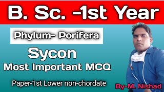 SyconMost Important MCQZoologyPaper1st Lower nonchordate [upl. by Ehcnalb]