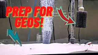 Setting Up A Tank For Geophagus Sveni PART 1 geophagus planted tank [upl. by Gerdeen]