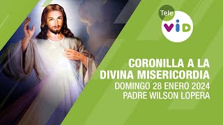 Coronilla a la Divina Misericordia 🌟 Domingo 28 Enero 2024 TeleVID Coronilla DivinaMisericordia [upl. by Huai]