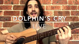 Dolphins Cry  Live Lakoudis [upl. by Anileve]