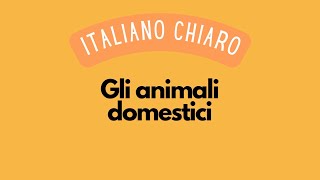 Gli animali domestici Pets [upl. by Yraeht639]