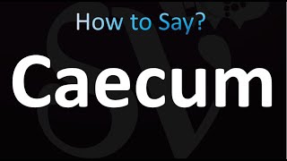 How to Pronounce Caecum correctly [upl. by Annaiuq]