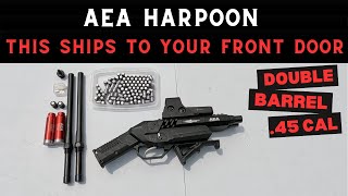 This AEA Harpoon Double Barrel 45 Caliber Pistol Shipped Straight To My Front Door Lets try it out [upl. by Notnirb]