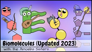 Biomolecules Updated 2023 [upl. by Elyod]