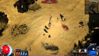 Path of Exile  Cold Snap  Skill [upl. by Ataeb]