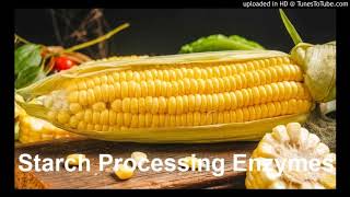 Starch Processing Enzymes Suppliers Glucoamylase Thermostable α–Amylase [upl. by Lassiter862]