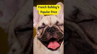 French Bulldog’s Popular Price shorts [upl. by Eniloj425]