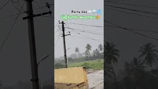 Ooru Palletooru Lyrical Song  Balagam  Priyadarshi  Venu  Mangli  RamMiryala  Bheems Ceciroleo [upl. by Kemeny]