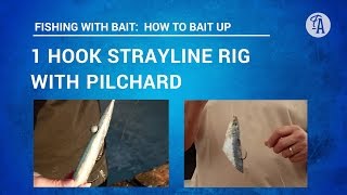 BAIT FISHING How to put PILCHARD bait on one hook STRAYLINE rig 3 ways [upl. by Nylirak]