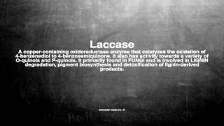 Medical vocabulary What does Laccase mean [upl. by Schober]