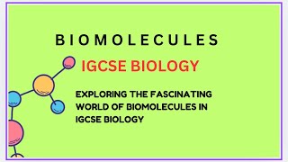 Biological molecules IGCSE biology [upl. by Mandy328]