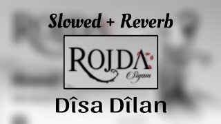 Rojda  Dîsa Dîlan SlowedReverb [upl. by Rhodes]