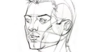 How to Draw the Head from Any Angle [upl. by Holden]