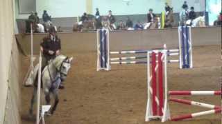 AHOTO in is first show jumping in Quinta da Marinha with Pedro Torres [upl. by Esme]