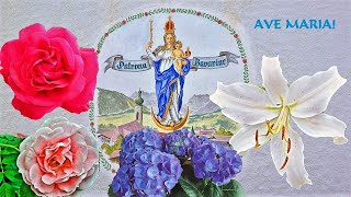 Festmesse zu Patrona Bavariae 1 Mai 22 [upl. by Amyas]