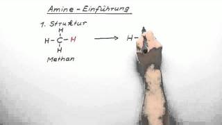 317 Amine  Einführung GK  Chemie  Organische Chemie [upl. by Ky529]