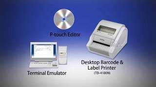 Print labels easily with Ptouch Template tool of Brother Professional Label Printer [upl. by Ahsied]