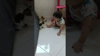 لحظات تعرف البيبي على القطط🤣Baby gets to know cats [upl. by Anilac]