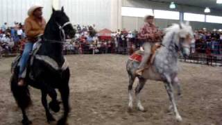 1ER LUGAR EXPO CABALLOS TOLUCA 2010  LOS MEJORES [upl. by Ettevram]