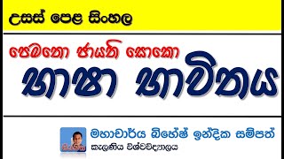 පේමතෝ ජායති සෝකෝ නාට්‍යයේ භාෂා භාවිතය Pematho Jayathi Soko AL Sinhala මහාචාර්ය බිහේෂ් ඉන්දික සම්පත් [upl. by Beka464]