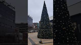 Waterloo place Christmas tree already [upl. by Anoiek367]