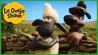 La Oveja Shaun 🐑 ¡Estilo Pelo de Oveja 🐑 Dibujos animados para niños [upl. by Ahter]