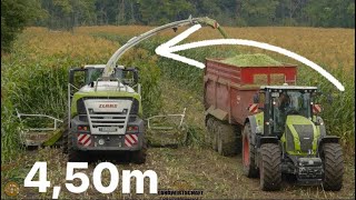 XXL HIRSE häckseln Claas Jaguar 950 kommt an sein Limit Claas Maschinen im Einsatz Hirse Ernte 2020 [upl. by Sanjiv637]