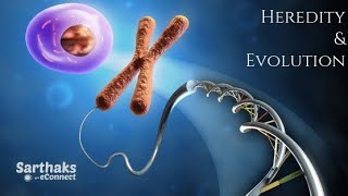 Heredity and evolution 🧬 class10th bseb and cbse fully explained part 1 subscribe now for videos [upl. by Eylsel]