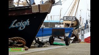 N Ireland Portavogie Harbour  Cultural Landscape Scenery [upl. by Darmit]