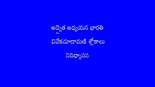 069 Nididhyasana  విద్వాన్ బ్రహ్మ పూర్ణం సమాధౌ  3 [upl. by Aiuqcaj]