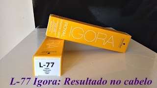 COLORAÇÃO L  77 IGORA COMO USAR  RESULTADO DELA PURA NO CABELO [upl. by Sairahcaz]