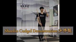 Shaolin Cudgel少林棍Demostration for learners kungfu shaolin taichi [upl. by Tomkin944]