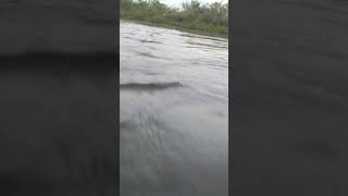 manasu aru thuliye song satus water falls trip video [upl. by Donald]