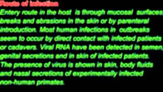 PCR Test for detection and treatment of Ebola Virus Genekam [upl. by Litch]