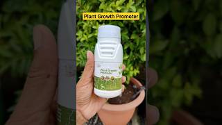 Natural Plant Growth Promoter gardening organicgardening terracegardening plants growth garden [upl. by Harrell]