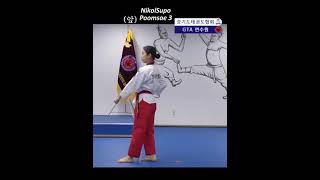 poomsae 3 lento [upl. by Ogaitnas]