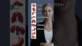 Human Body Internal Organs  English Stories [upl. by Anner]