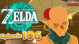 Unlocking Glider Fabrics  The Legend of Zelda Tears of the Kingdom Walkthrough Part 106 [upl. by Tsepmet641]