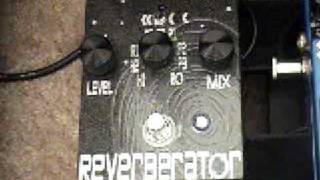 Gear Demo — Dr Scientist Radical Red Reverberator [upl. by Gunther]