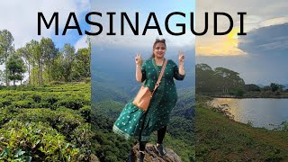 Places to see in Masinagudi  How to book safari in Masinagudi  Kannada Vlog [upl. by Tare]