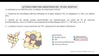 Generalidades Obesidad tejido adiposo y resistencia a la insulina aspectos biológicos [upl. by Rajewski651]