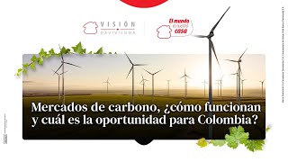 Mercados de carbono ¿cómo funcionan y cuál es la oportunidad para Colombia [upl. by Adlesirk534]