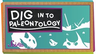 Dig In To Paleontology [upl. by Alyks765]