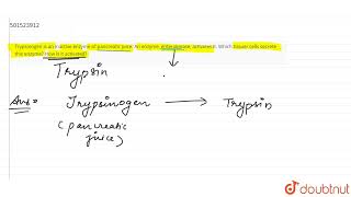 Trypsinogen is an inactive enzyme of pancreatic juice An enzyme enterokinase activates it Wh [upl. by Tai]