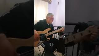 Pooh incredibilmente giù my bass cover [upl. by Mansur632]