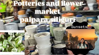 vlog The famous potteries and flower market at siliguri  Enjoying sunsets and programme🤭😅 [upl. by Lorien837]